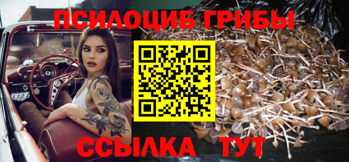Псилоцибиновые грибы ЛСД  Галлюциногенные грибы ЛСД  Уссурийск  Вход с VPN 