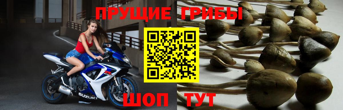 Галлюциногенные грибы MAGIC MUSHROOMS Уссурийск